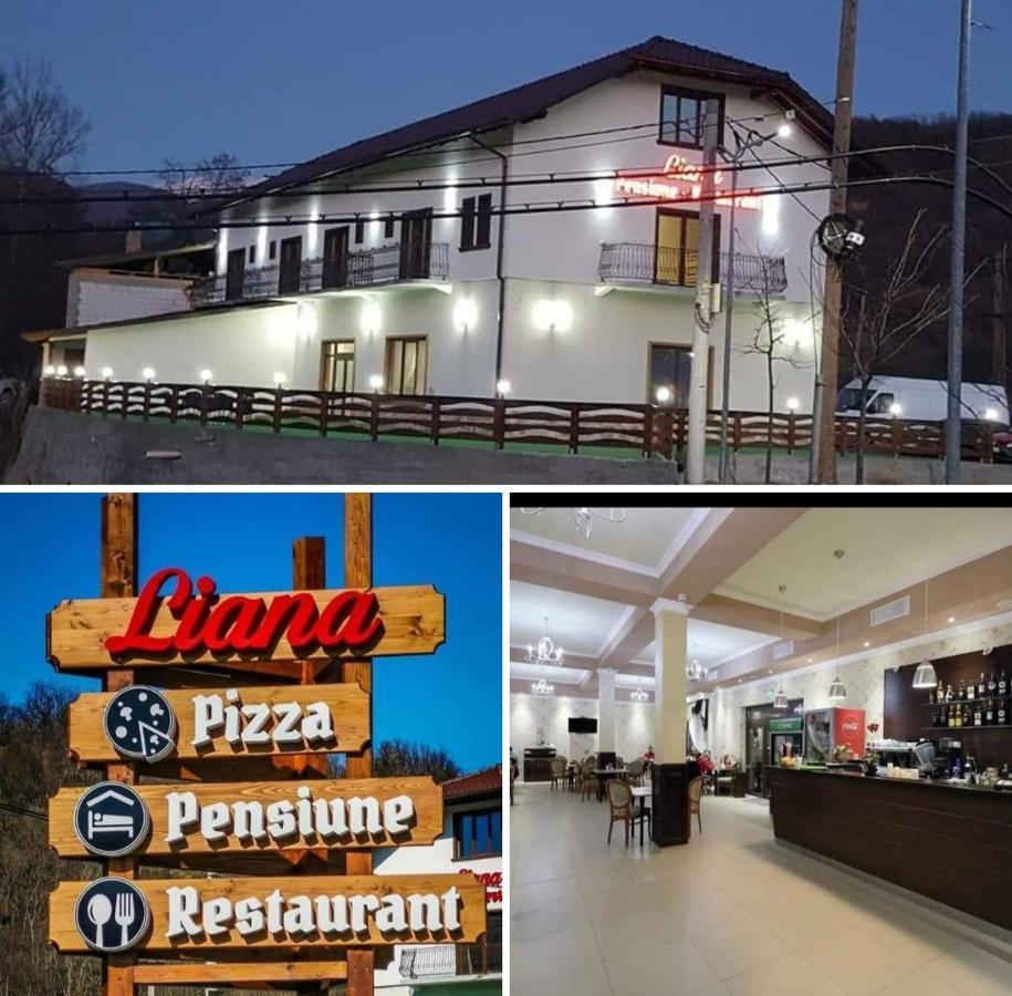 Pensiune Restaurant Liana Mehadija Exterior photo